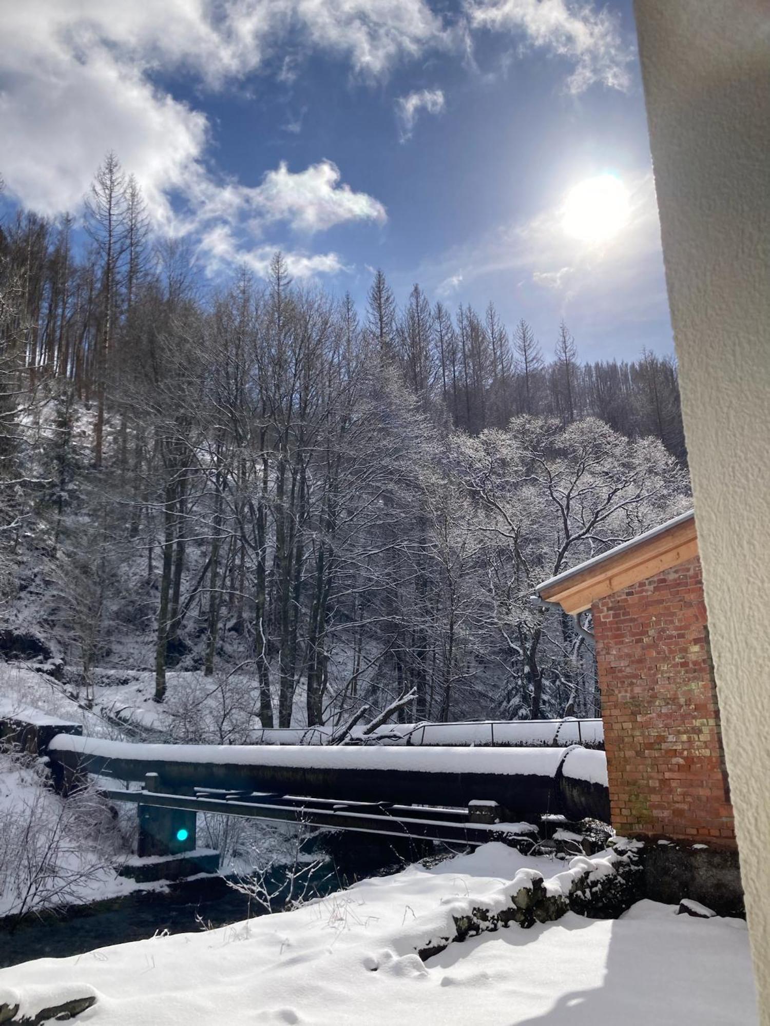 Schleiferei Zwei, Ferienwohnungen Sieber Dış mekan fotoğraf